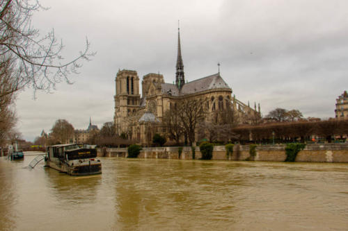 Notre-Dame de Paris-5025